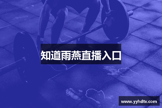 知道雨燕直播入口